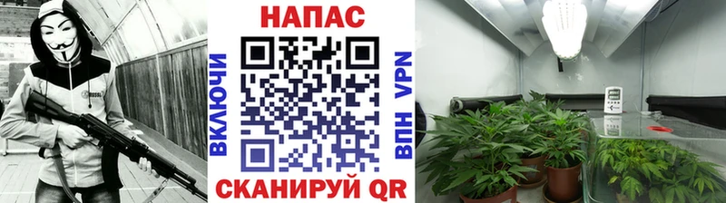 Где купить наркоту Котельниково Альфа ПВП  ГАШ  Канабис 