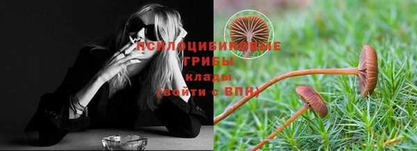 дмт Яранск